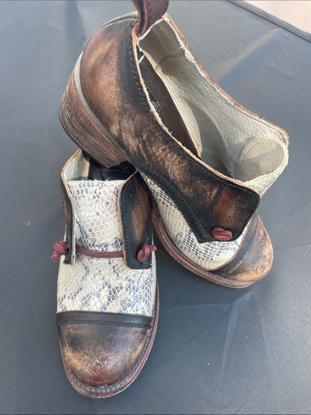 Freebird by Steven Sz 8 Catalina Brown & Cream Snake-Print Leather Heeled Oxford - Picture 15 of 15